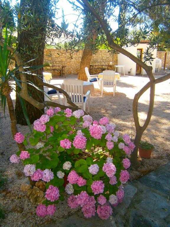 Bed & Breakfast Pansion Rade Hotel Pirovac Exterior photo